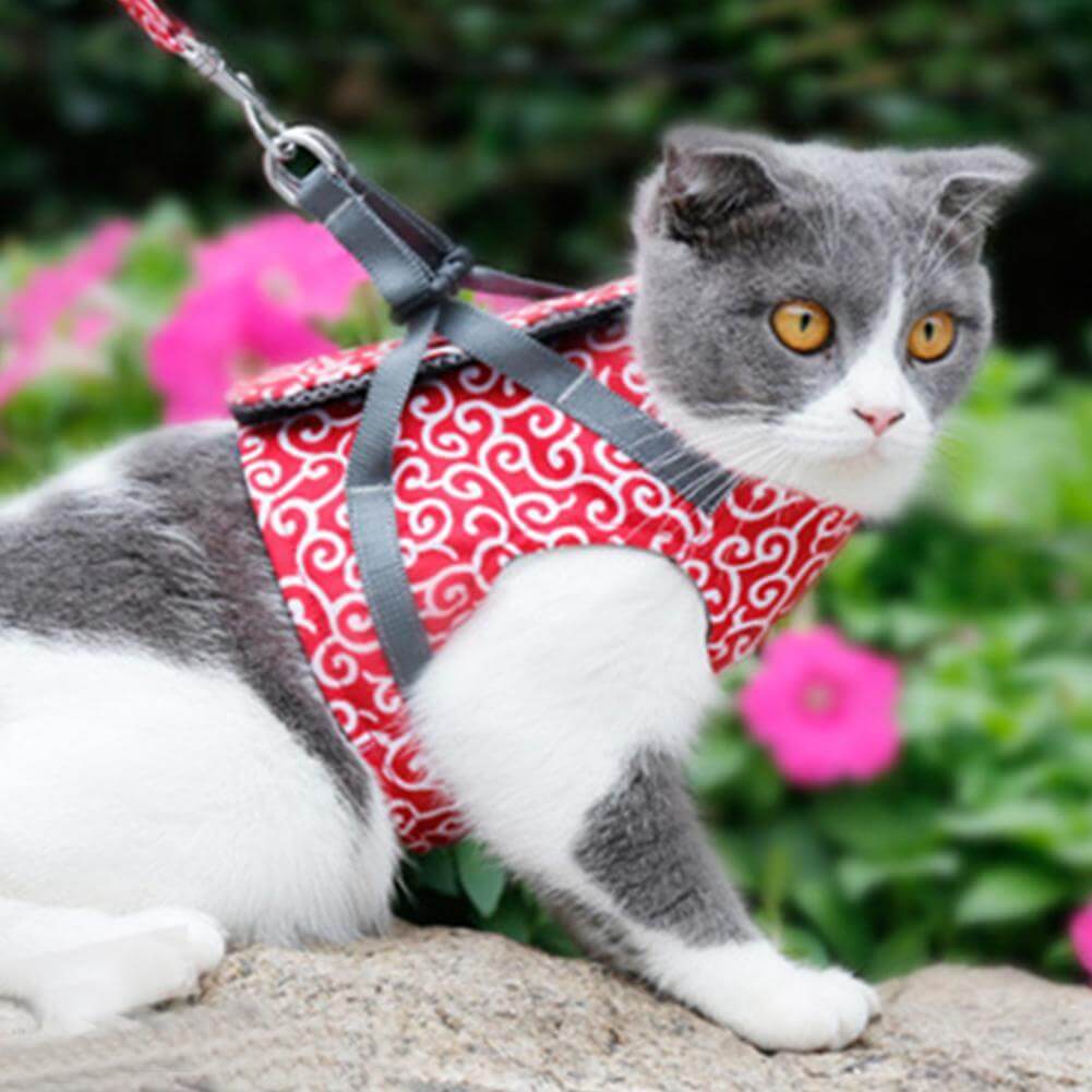 Kattenharnas met Lijn – Comfortabel Veiligheidsvest voor Katten voor Buiten – Ademend Mesh Tuigje voor Wandelen – Verstelbaar met Snelsluiting | Sulvida