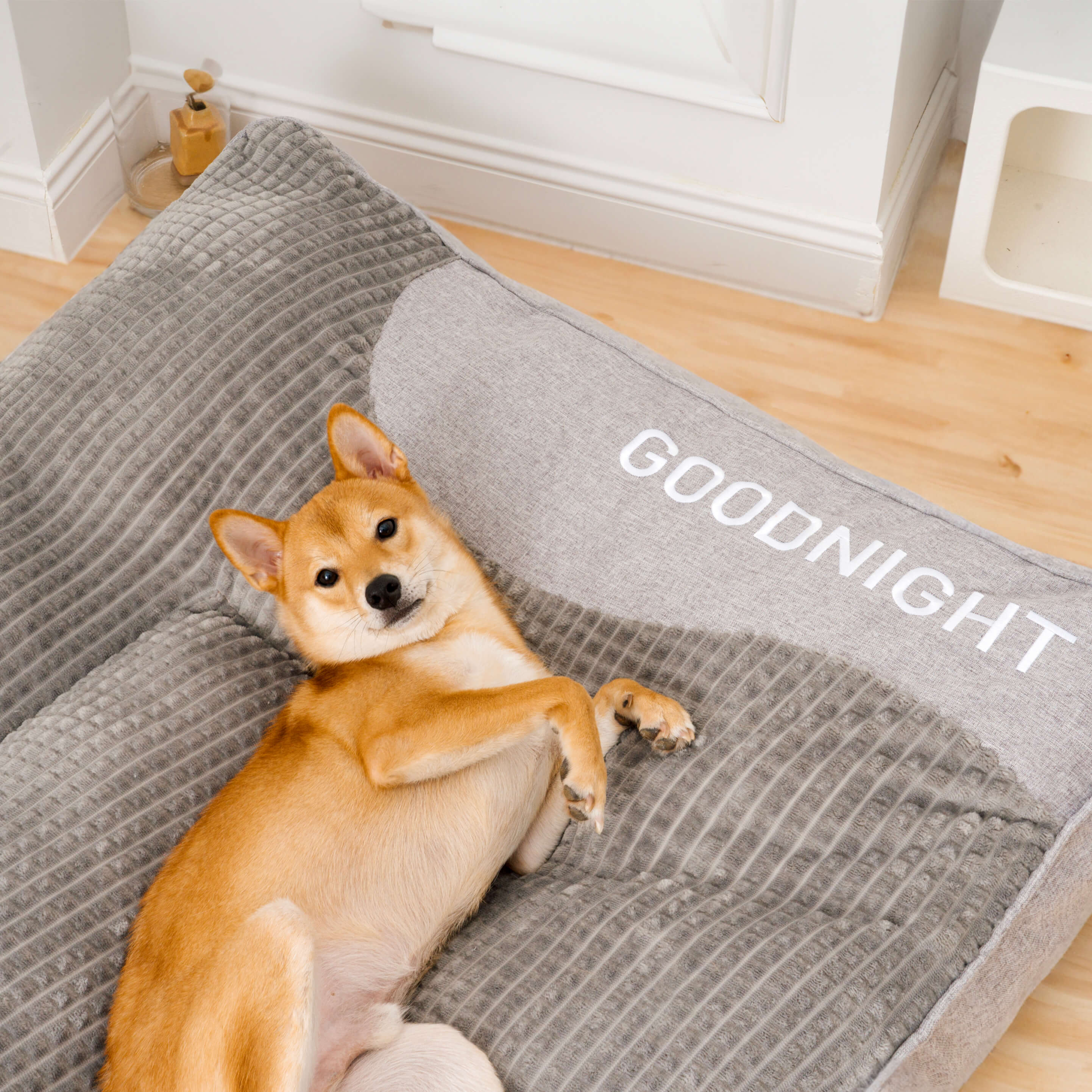 Panier orthopédique pour chien avec coussin de tête surélevé – coussin de luxe avec soutien du cou et housse en velours amovible pour petits et grands chiens | Sulvida