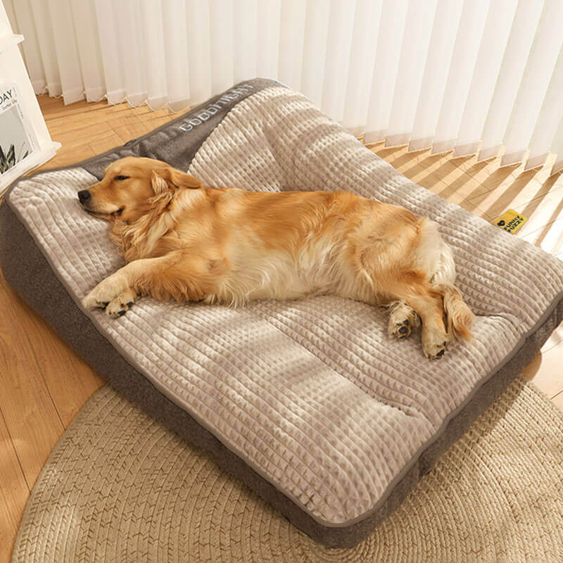 Panier orthopédique pour chien avec coussin de tête surélevé – coussin de luxe avec soutien du cou et housse en velours amovible pour petits et grands chiens | Sulvida