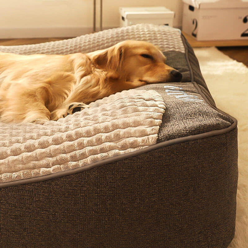Panier orthopédique pour chien avec coussin de tête surélevé – coussin de luxe avec soutien du cou et housse en velours amovible pour petits et grands chiens | Sulvida