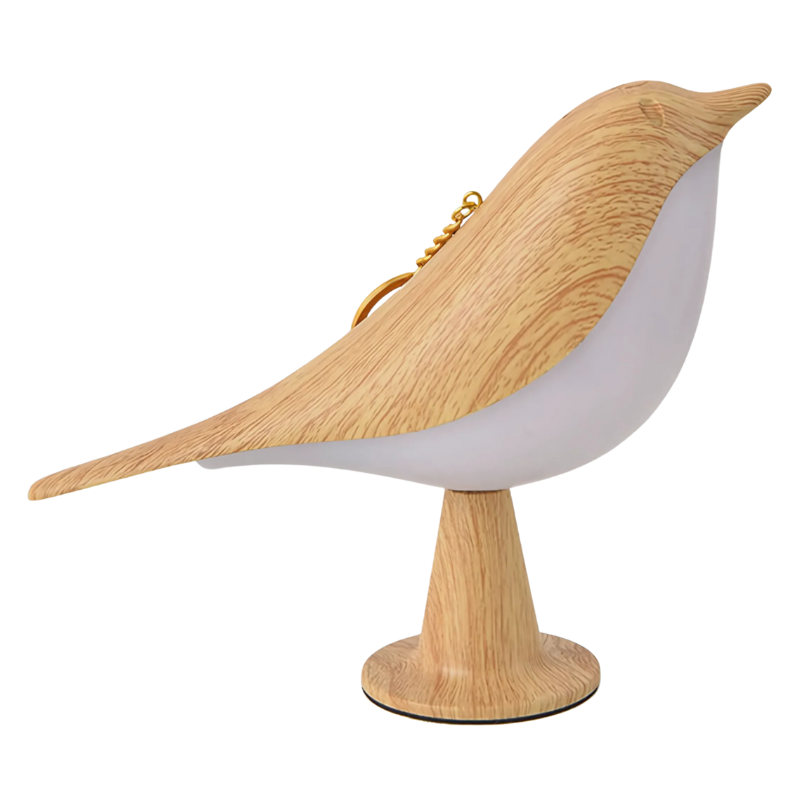 Lampe pour oiseaux avec diffuseur d’arômes – Veilleuse à intensité réglable avec diffuseur de parfum, rechargeable par USB, pour un éclairage chaleureux | Sulvida