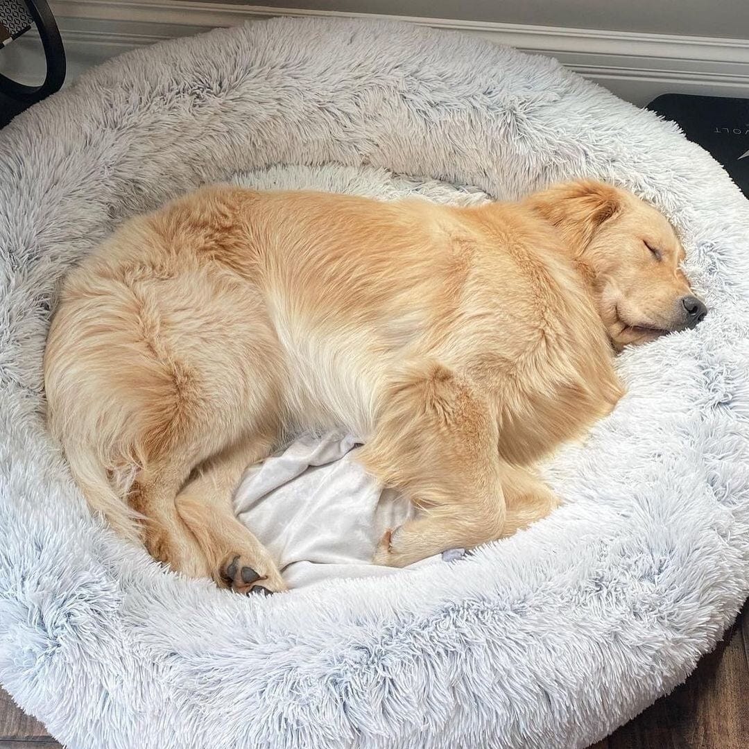 Panier rond pour chien avec bord surélevé – Lieu de sommeil apaisant pour chien et chat | Sulvida