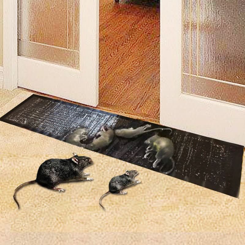 Pièges professionnels à souris et à rats, 10 pièces | Pièges à glu extra-forts pour lutter contre les nuisibles à l’intérieur et à l’extérieur | Lutte sans poison et sans produits chimiques | TrapZone Lutte antiparasitaire | Sulvida
