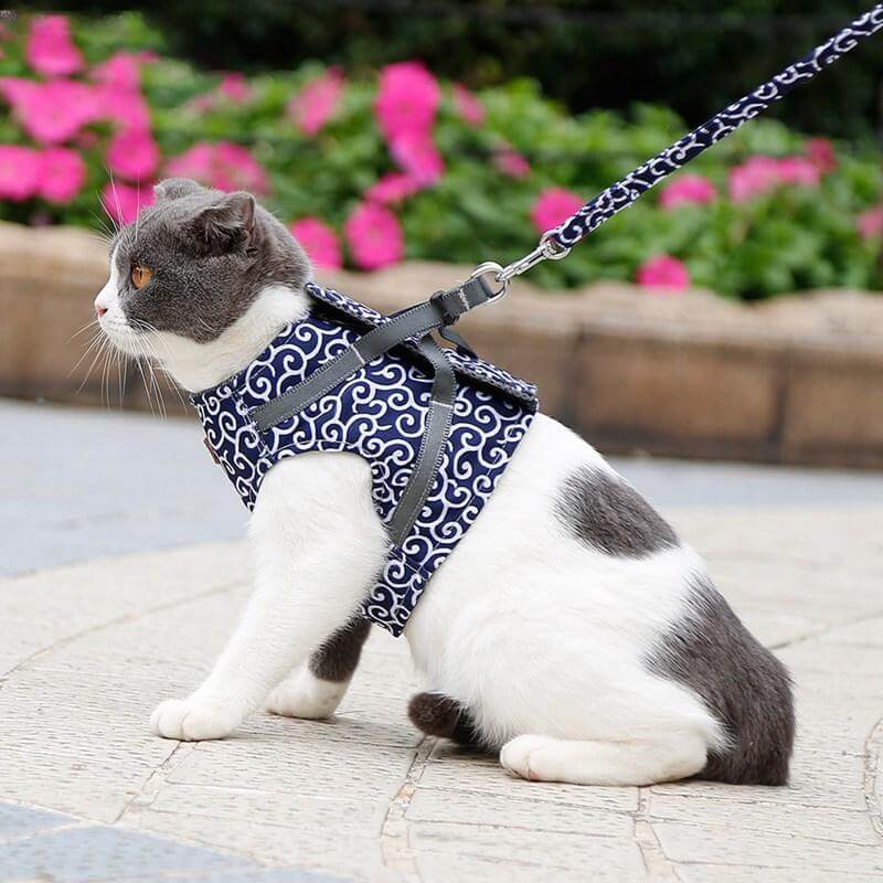 Harnais pour chat avec laisse – Gilet de sécurité confortable pour chat, pour l’extérieur – Harnais en mesh respirant pour les promenades – Réglable avec fermeture rapide | Sulvida