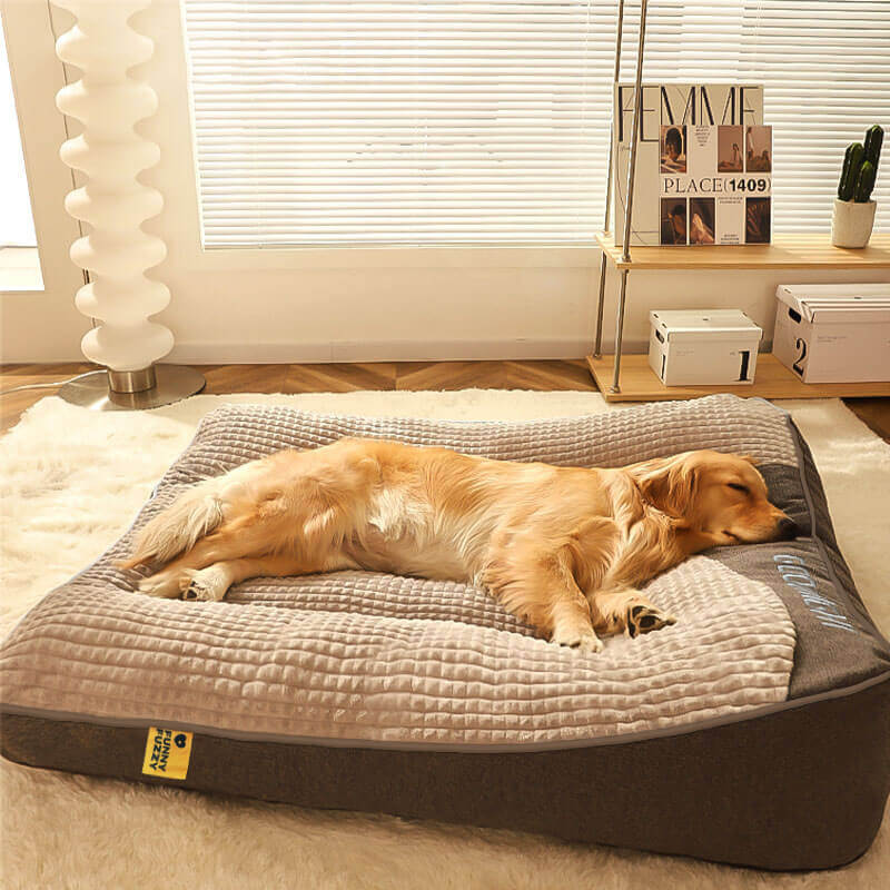 Panier orthopédique pour chien avec coussin de tête surélevé – coussin de luxe avec soutien du cou et housse en velours amovible pour petits et grands chiens | Sulvida