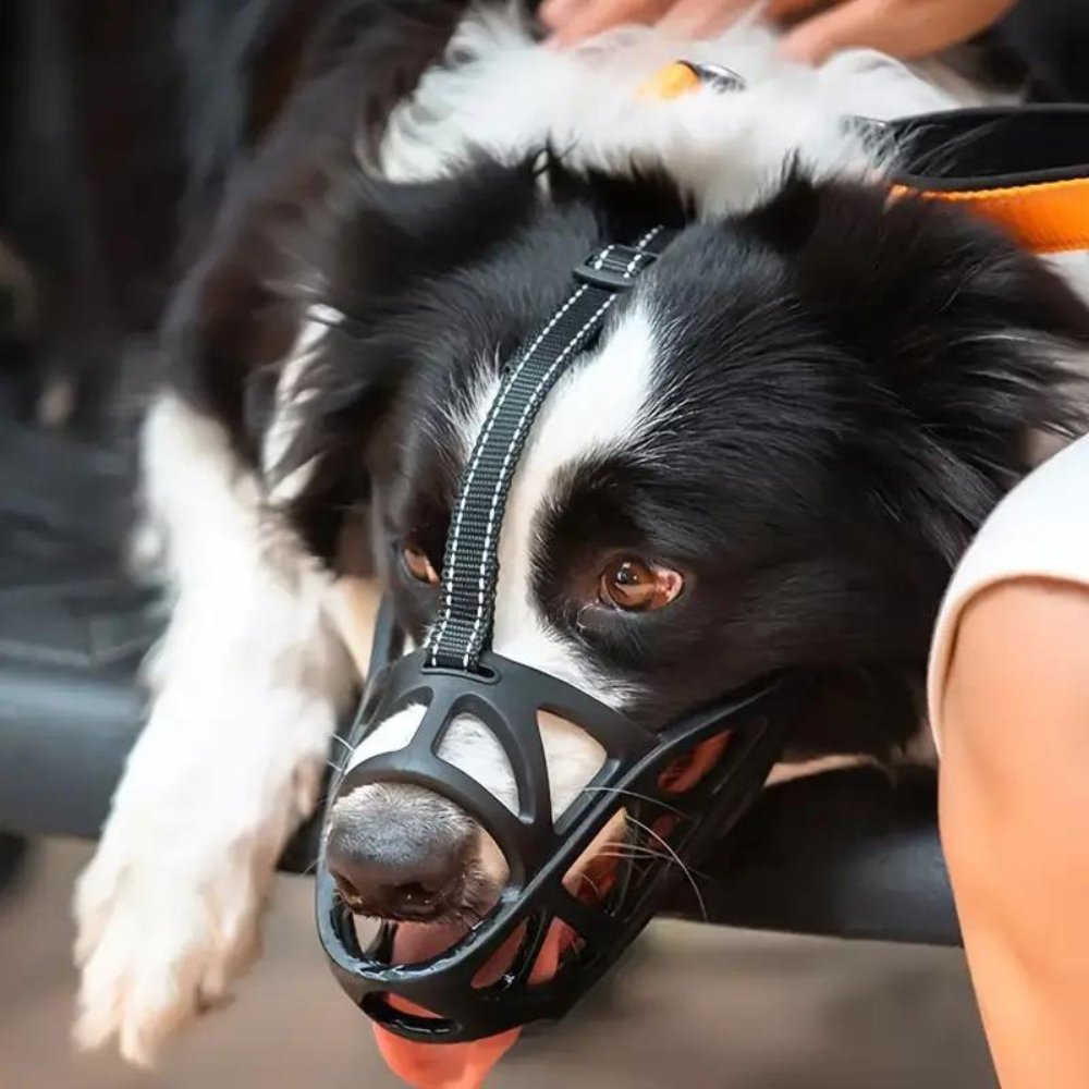 Muselière réglable et respirante pour chien, solution anti-morsure et anti-aboiement, sûre et confortable, adaptée aux chiens de taille moyenne à grande | Sulvida